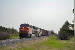 3868 leads CN 402 at the tree nursery